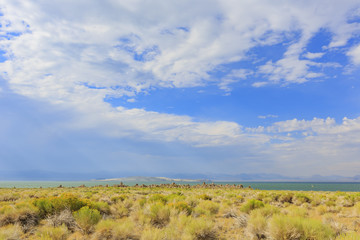 Obraz premium Tofu, Mono Lake with blue sky