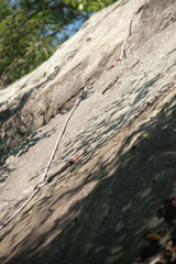 A climbing rope and quick draws attached to bolts on a rock face.  Trees in the background.  Vertical image.