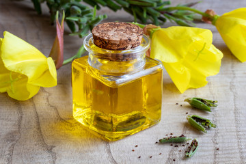 A bottle of evening primrose oil with fresh evening primrose flowers, pods and seeds