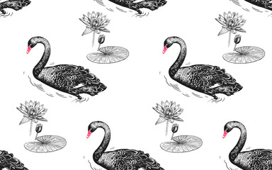Swans and water lily. Seamless pattern