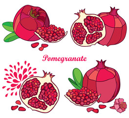 Vector set of outline Pomegranate half and whole fruit, ornate flower, green leaf and seed isolated on white background. Drawing of ripe red Pomegranate in contour for exotic summer design.
