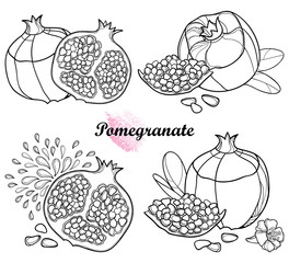 Vector set of outline Pomegranate half and whole fruit, ornate flower, leaf and seed in black isolated on white background. Drawing of ripe Pomegranate in contour for summer design and coloring book.