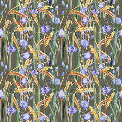wild flowers and ears of wheat on a summer meadow. pattern. Watercolor.
- 222531283