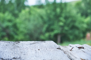 Empty wooden table with garden bokeh for a catering or food background with a country outdoor theme,Template mock up for display of product