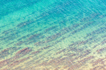 Blue sea texture with seaweed