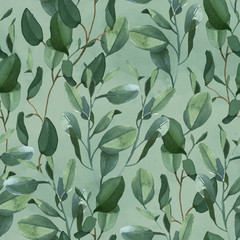 Seamless pattern of green eucalyptus leaves on green background - 222535011