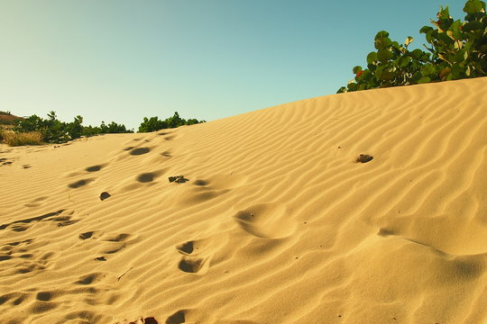 Duna en Macanao
