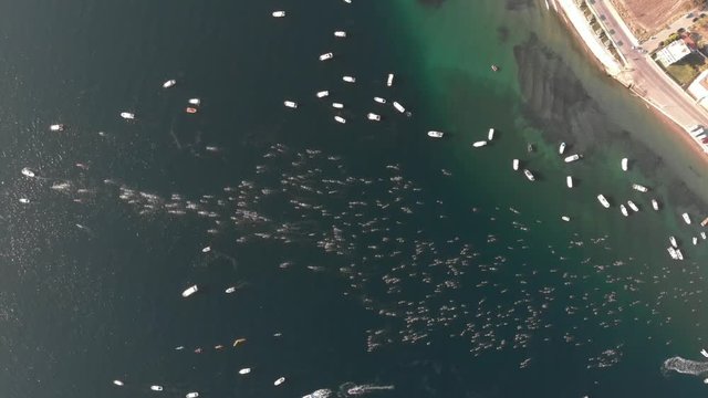 The Hellespont and Dardanelles crossing is a significant open water swim of 4&frac12; km between Europe and Asia.