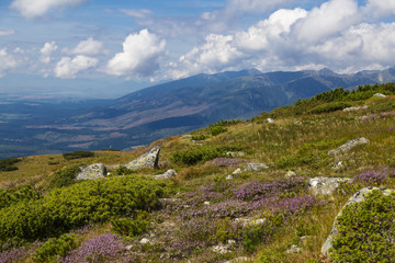 Fototapeta na wymiar Slope of Krivan mountain. High Tatras, Slovakia