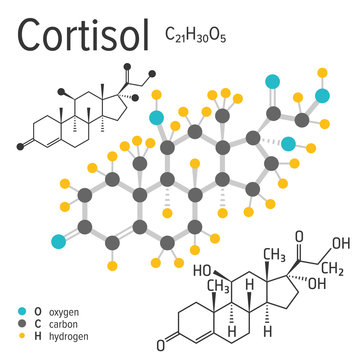 Chemical formula, structure and model of the cortisol molecule, vector illustration