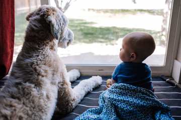 Dog and Baby Looking Out Window