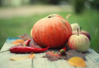 Autumn harvest/ settings table/thanksgiving day background