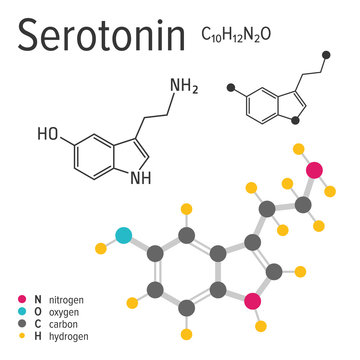 Chemical formula, structure and model of the serotonin molecule, vector illustration