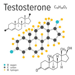 Chemical formula, structure and model of the testosterone molecule, vector illustration