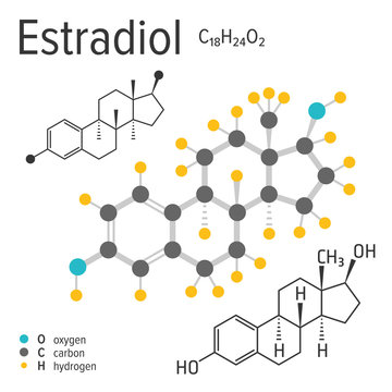 Chemical formula, structure and model of the estradiol molecule, vector illustration