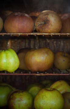 potager et cuisine