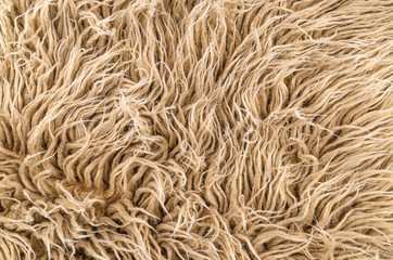 Sheep wool newborn blanket texture