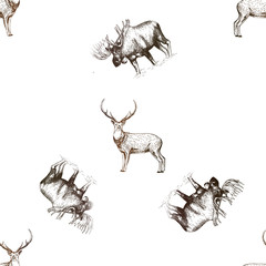 Seamless pattern of hand drawn sketch style moose and deer isolated on white background. Vector illustration.