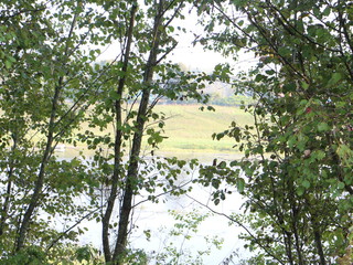 view of the river through the trees