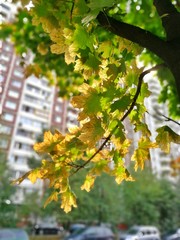 Autumn in the city of Moscow.