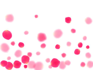 Pink rose petals falling vector valentine background.