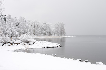 Winter landscape. with falling snow. Newly fallen snow covering lake shore and trees.