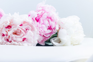 Pink floral background with fresh pink peony flowers on white