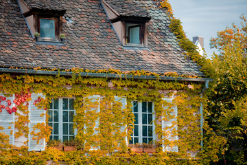 View at old houses with windows in autumn season. Strasburg, France
