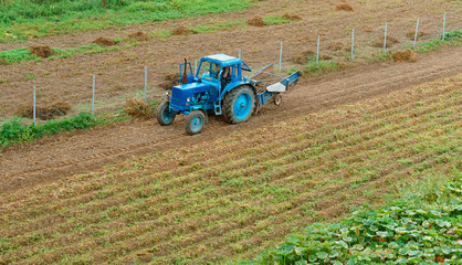 Fertilizing fields. Blue tractor fertilizing a field. Farmers spreading fertilizer with shovels.