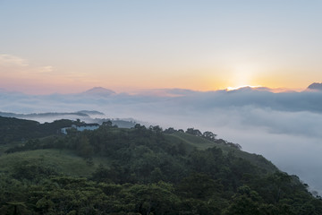 The famous and beautiful Daylily flower at sixty Stone Mountain