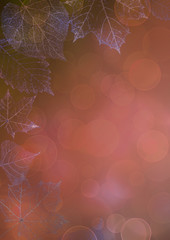 Autumn transparent skeleton leaves background