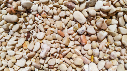 Little stones of beach