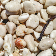 Little stones of beach
