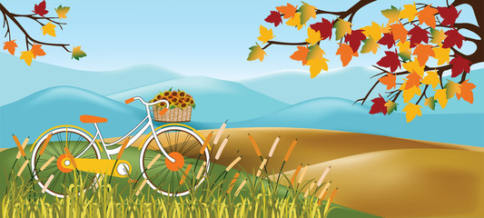 Panoramic of Countryside landscape in autumn,Vector illustration of horizontal banner of autumn landscape mountains,maple trees with leaves falling and bicycle in yellow foliage,Fall season background