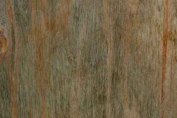 gray brown wood texture from an old board