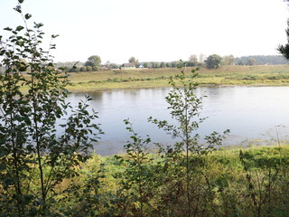 river bank summer sunny morning