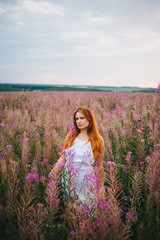 Beautiful red-haired girl in a dress in a flowering field of willow-tea.