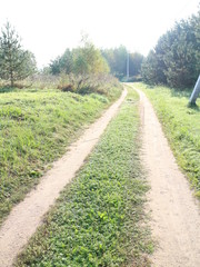 Country road in the summer