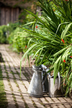 jardin potager organique l&eacute;gumes automne saison cabane jardinier