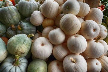 Kürbisse Zierkürbisse Speisekürbisse