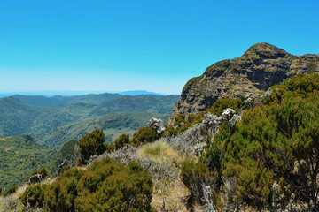 view from the top of mountain, Elephant Hill, Aberdare Ranges, Kenya