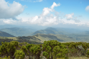 The foggy landscapes of Elephant Hill, Aberdare Ranges, Kenya