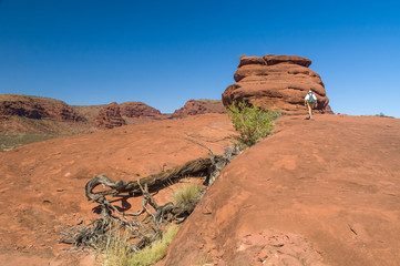 Hiker at the Kalaranga Lookout. Finke Gorge National Park, Northern Territory, Australia.