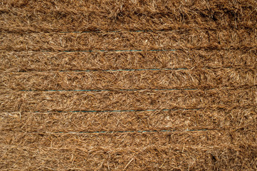 texture of freshly mown hay after harvesting