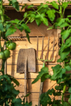 jardin potager organique l&eacute;gumes automne saison cabane jardinier
