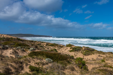 Fototapeta na wymiar Phillip Island coastline with breaking surf