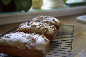 A Sunny View of Fresh Baked Loaves of Nut Bread Cooling on Wire Cooling Rack, on Kitchen Counter with Window in Background
