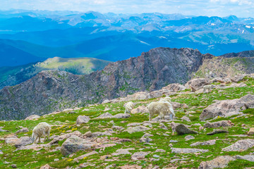 Gorgeous Morning Hike in Mount Evans Wilderness in Colorado