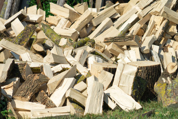Firewood. Wood for heating and sauna. Place for your text.