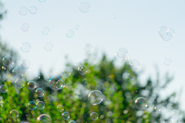 bubbles are floating in the air. Place for your text.